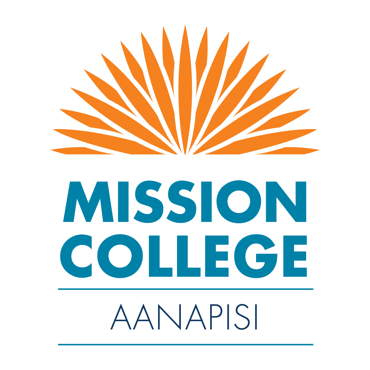 AANAPISI Logo