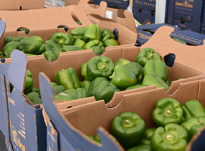 Green bell peppers in cardboard boxes.